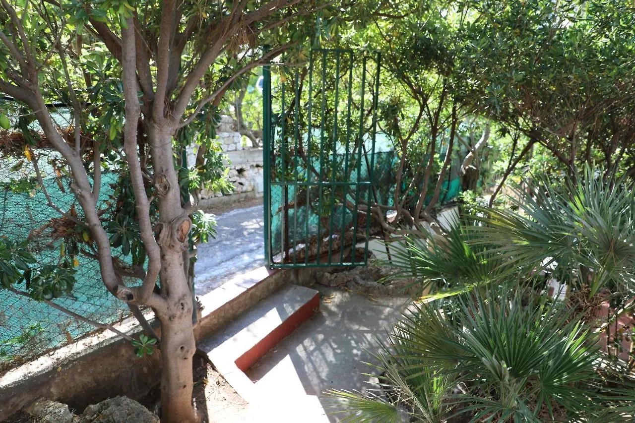 Casa Elvira Villa Terrasini Holiday home